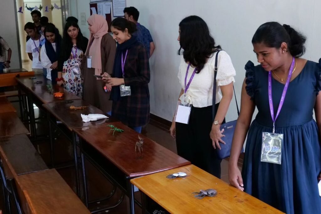 462248831_1749475442466737_1444087160339354811_n